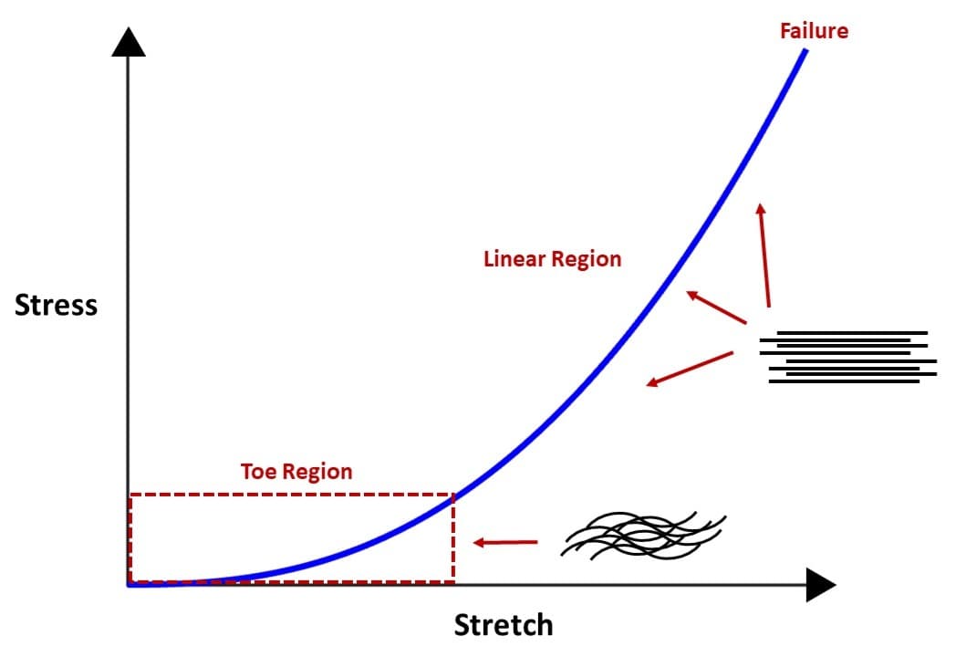Placeholder: artery wall constituents