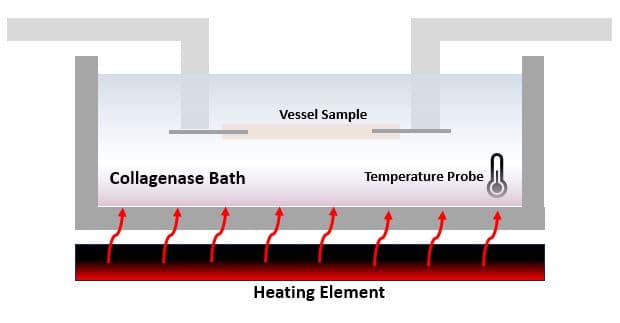 Sideview schematic of tester for Experiment 2