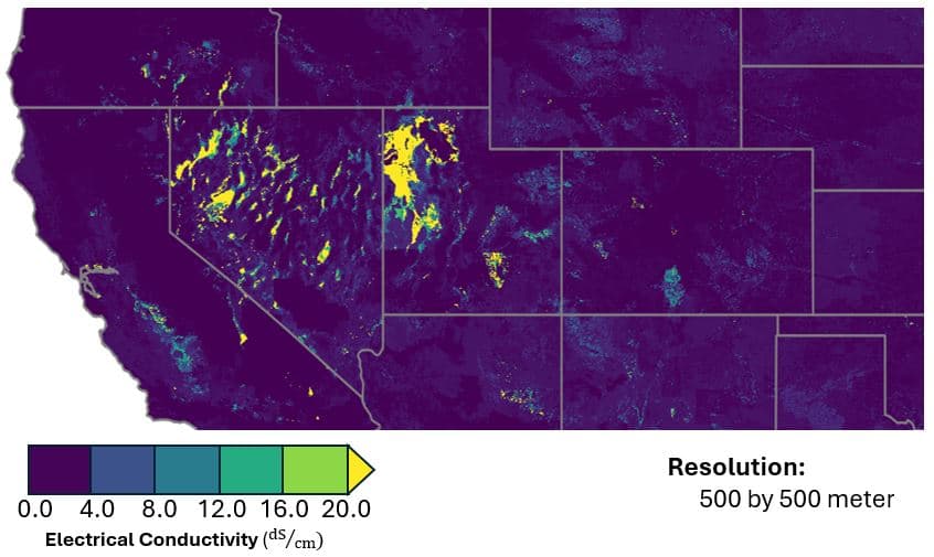 High-resolution map of U.S. playas derived from SSURGO electrical conductivity